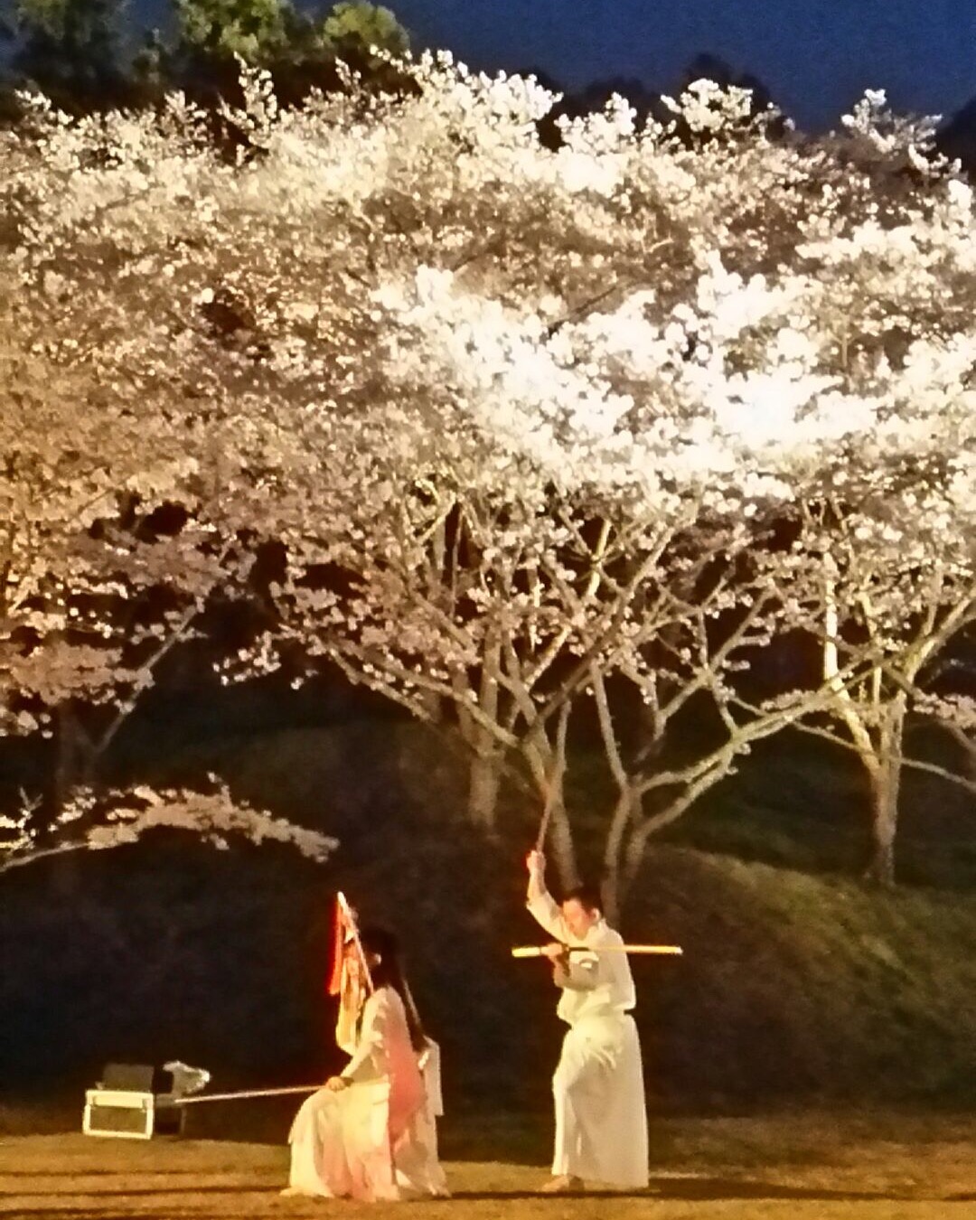 桜を訪ねて<br>SAKURA OBLATION - O-Getsu Ryu | 桜月流美劔道