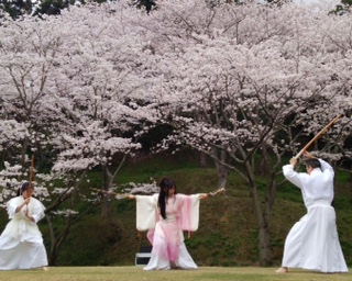 桜を訪ねて<br>SAKURA OBLATION - O-Getsu Ryu | 桜月流美劔道